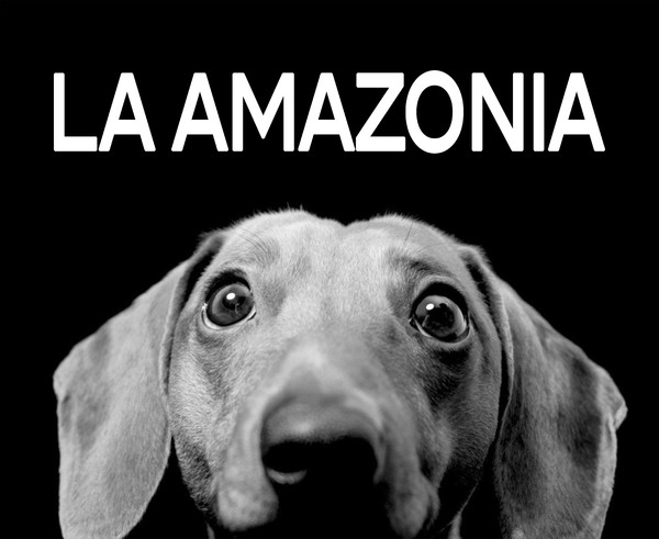 Rótulo sin iluminación una cara Amazonia Mascotas S.L. - madrid 110x90 cm
