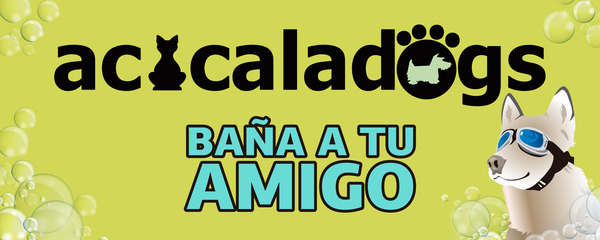 Rótulo luminoso una cara Acicaladogs - Valladolid 150x60 cm