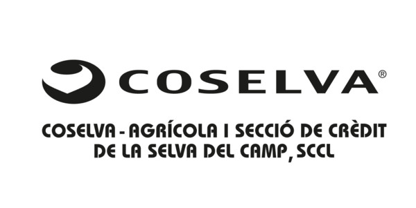 Placa de latón grabada y esmaltada COSELVA – AGRÍCOLA I SECCIÓ DE CRÈDIT DE LA SELVA DEL CAMP, SCCL - 50x25 cm
