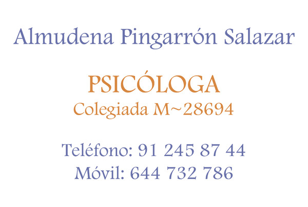 Placa de empresa de metacrilato Almudena Pingarrón Salazar - Madrid 35x23 cm