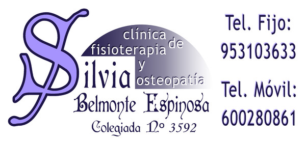 Rótulo luminoso una cara SILVIA BELMONTE ESPINOSA - Jaén 130x60 cm