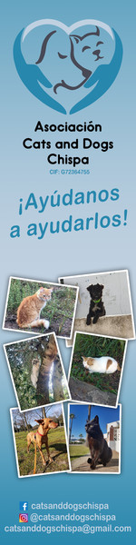 Lona impresión digital doble cara Cats & Dogs Chispa - Cádiz 50x200 cm
