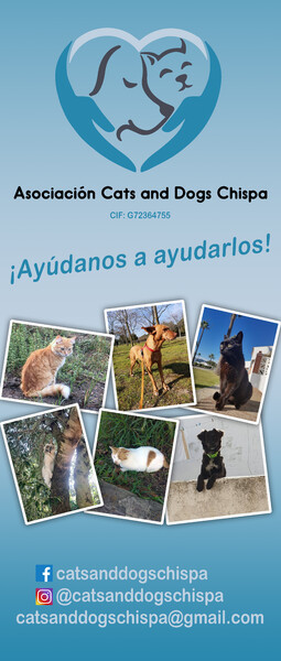 Roll up expositor enrollable Cats & Dogs Chispa - Cádiz 85x200 cm