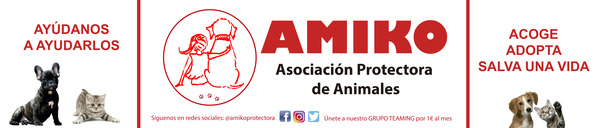 Lona impresión digital una cara AMIKO  Protectora de Animales - 328x70 cm