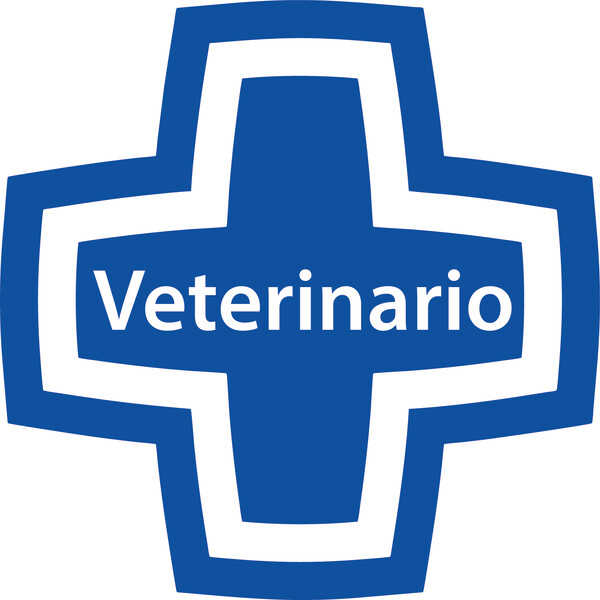 Banderola Cruz para Veterinarias Salud. Y Bienestar Animal Valencia SL - 60x60 cm