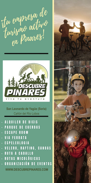 Roll up expositor enrollable Descubre Pinares S.L. - 100x200 cm