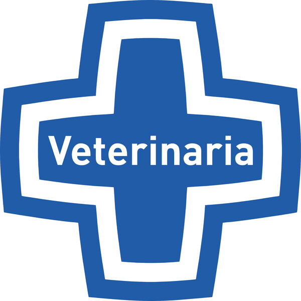 Banderola Cruz para Veterinarias Centro Vetrinario Can Vetgos - 50x50 cm
