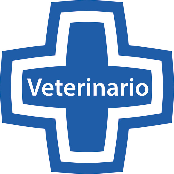 Banderola Cruz para Veterinarias Centro veterinario campo grande - 60x60 cm