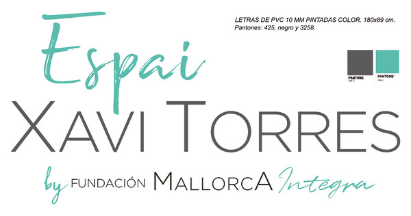 Letras recortadas de PVC lacado color Fundación Mallorca Integra - 180x90 cm