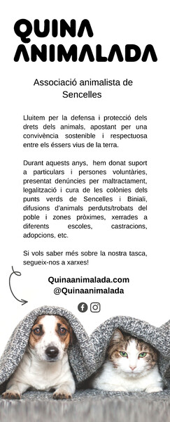 Roll up expositor enrollable quina animalada - 85x200 cm