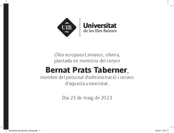  UIB - Islas Baleares 20x15 cm