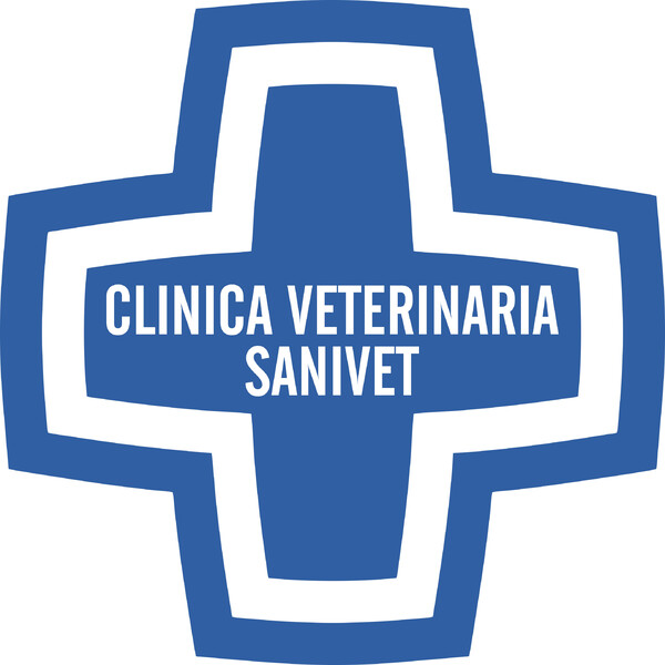 Banderola Luminosa Cruz para Veterinarias CLINICA VETERINARIA SANIVET - León 70x70 cm