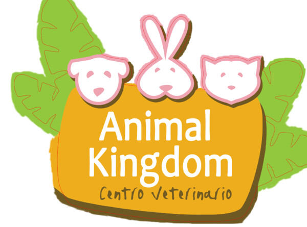 Letras recortadas de PVC frente impreso Animal Kingdom - 72x52 cm